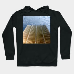 A Building of Gold Hoodie